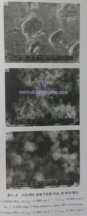 不同PEG濃度下所得MoS2的SEM照片