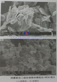 二硫化鉬微米顆粒SEM