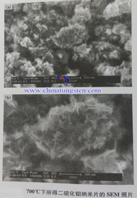 二硫化鉬納米片SEM