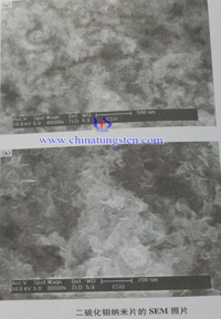 二硫化鉬納米片SEM