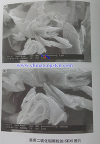 二硫化鉬顆粒SEM