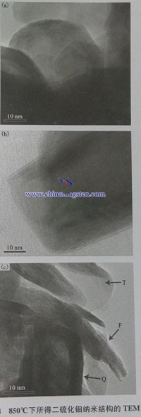 850℃下所得二硫化鉬納米結構TEM