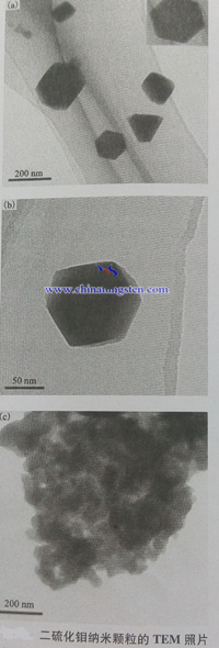 二硫化鉬納米顆粒TEM