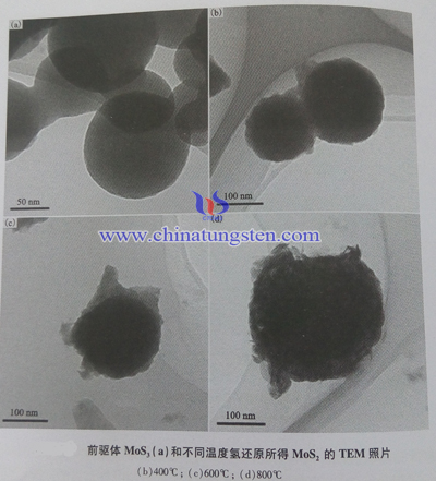 前驅體MoS2(a)和不同溫度氫還原所得二硫化鉬TEM