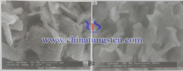 不同預處理條件下所得產物的SEM
