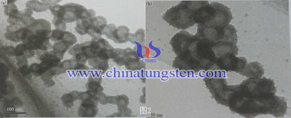 二硫化鉬納米空心球TEM