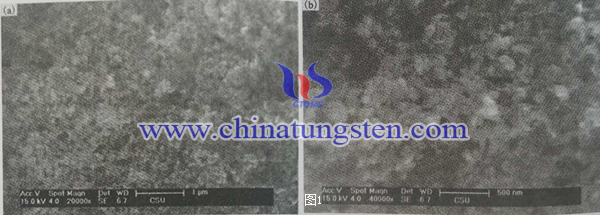 二硫化鉬納米空心球SEM