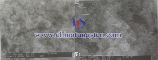 二硫化鉬納米片SEM