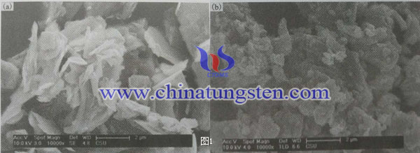 二硫化鉬納米顆粒SEM