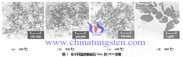 不同溫度脫硫後MoS2的TEM形貌