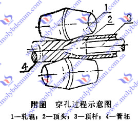 molybdenum alloy head